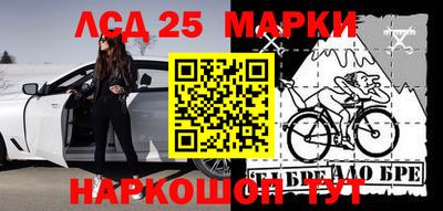 сатива Гудермес