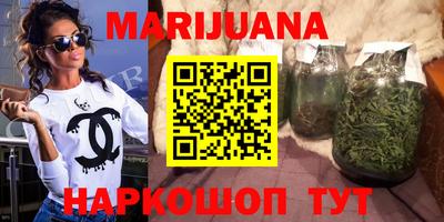 сатива Гудермес