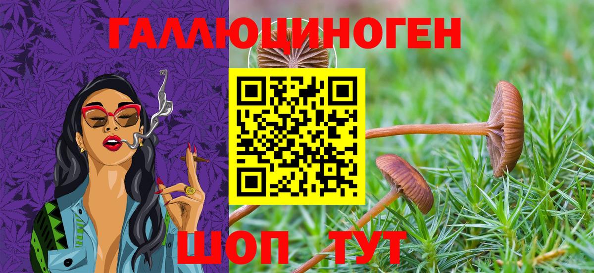 Сланцы  Псилоцибиновые грибы GOLDEN TEACHER  Вход с VPN 